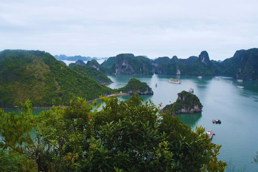 Panoramic aerial view of Halong Bay islands and emerald water Vietnam